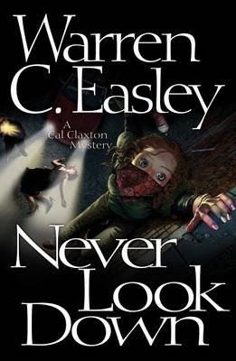 Book cover for Never Look Down