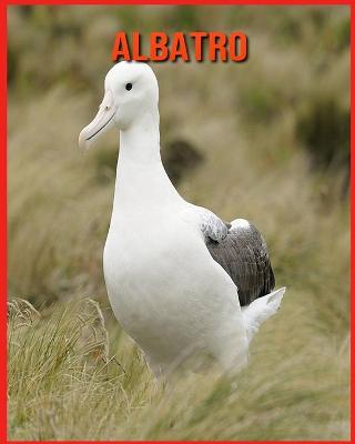 Book cover for Albatro