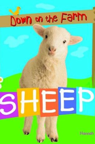 Cover of Sheep