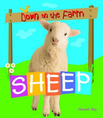 Cover of Sheep