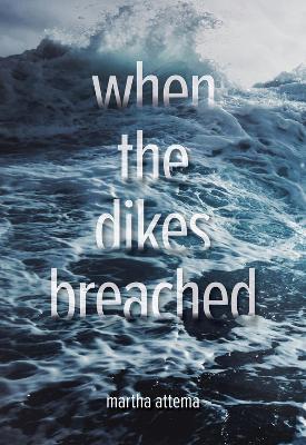 Cover of When the Dikes Breached