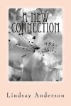 Book cover for A New Connection