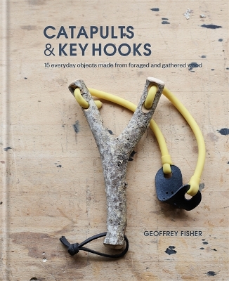 Book cover for Catapults & Key Hooks