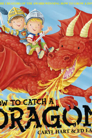 Cover of How To Catch a Dragon