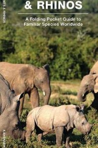 Cover of Elephants & Rhinos