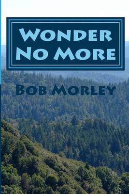 Book cover for Wonder No More