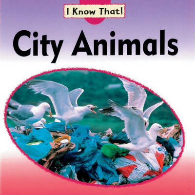 Book cover for City Animals