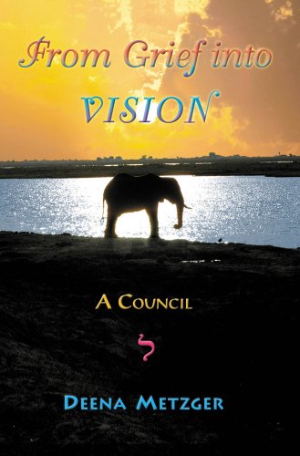 Book cover for From Grief Into Vision