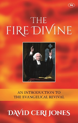 Book cover for The Fire Divine