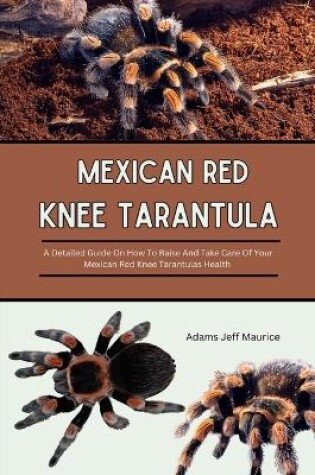 Cover of Mexican Red Knee Tarantula