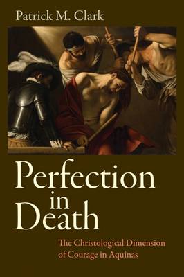 Book cover for Perfection in Death