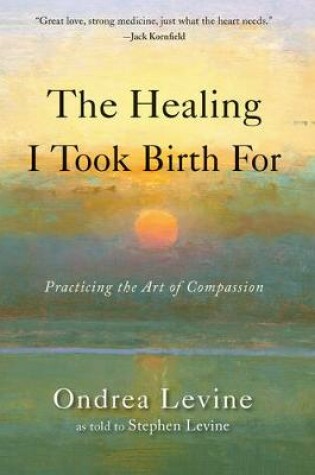 Cover of The Healing I Took Birth for