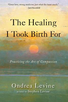 Book cover for The Healing I Took Birth for