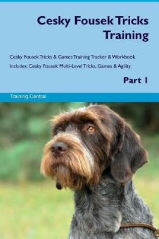 Cover of Cesky Fousek Tricks Training Cesky Fousek Tricks & Games Training Tracker & Workbook. Includes