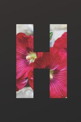 Cover of H