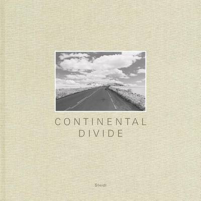 Book cover for Henry Wessel: Continental Divide