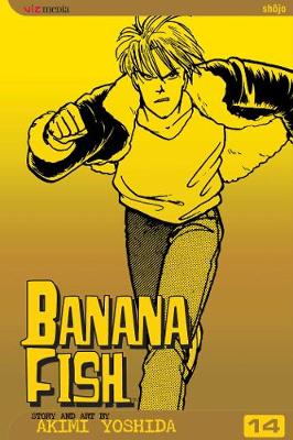 Book cover for Banana Fish, Vol. 14