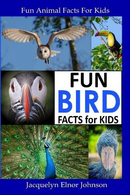 Book cover for Fun Bird Facts for Kids