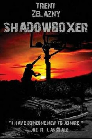 Cover of Shadowboxer