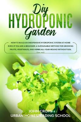 Cover of DIY Hydroponic Garden