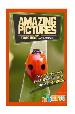 Cover of Amazing Pictures and Facts about Ladybugs