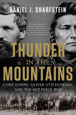 Book cover for Thunder in the Mountains