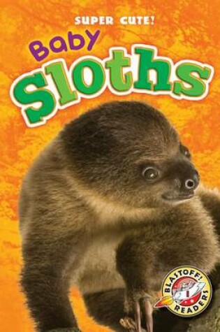 Cover of Baby Sloths