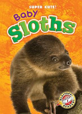 Book cover for Baby Sloths