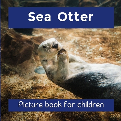 Book cover for Sea Otter