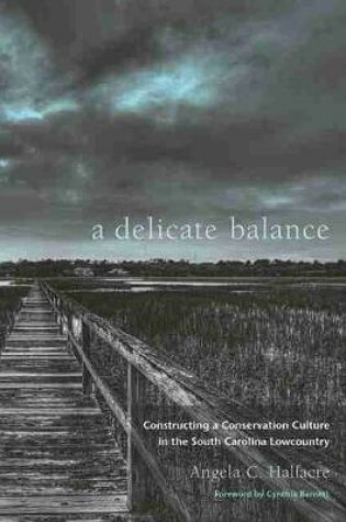 Cover of A Delicate Balance