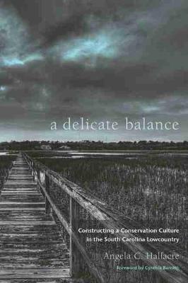 Book cover for A Delicate Balance