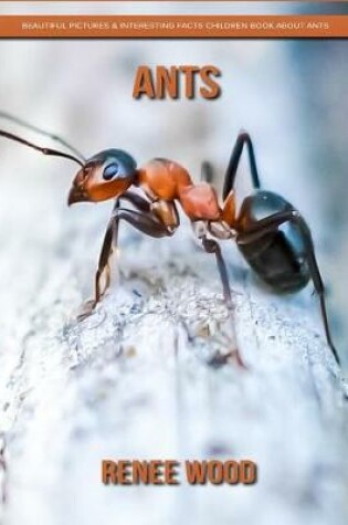 Cover of Ants