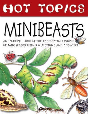 Book cover for Minibeasts