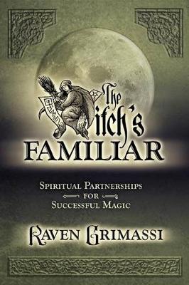 Book cover for The Witches' Familiar