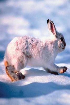 Cover of Journal White Hare Runs Through Winter Snow
