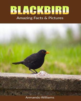 Book cover for Blackbird