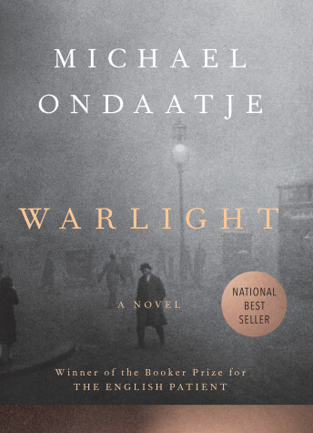 Book cover for Warlight