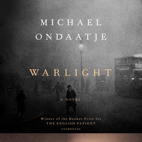 Book cover for Warlight