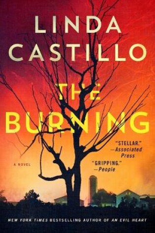 Cover of The Burning