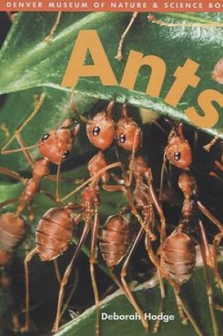 Cover of Ants (Denver Museum Insect Books)