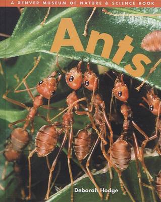 Cover of Ants (Denver Museum Insect Books)