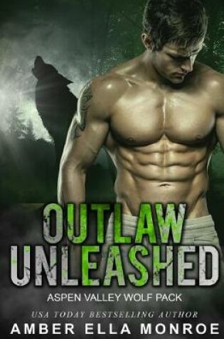 Cover of Outlaw Unleashed