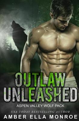 Book cover for Outlaw Unleashed