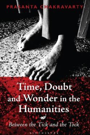 Cover of Time, Doubt and Wonder in the Humanities