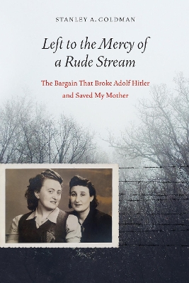 Book cover for Left to the Mercy of a Rude Stream