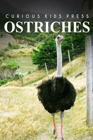 Cover of Ostrich - Curious Kids Press