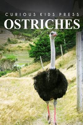 Book cover for Ostrich - Curious Kids Press