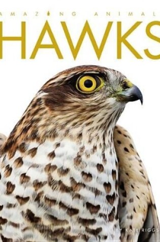 Cover of Amazing Animals Hawks