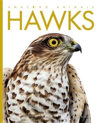 Book cover for Amazing Animals Hawks