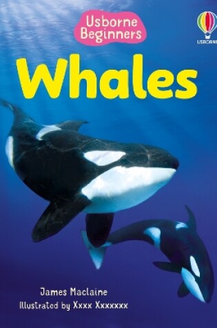 Cover of Beginners Whales